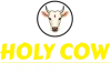 footer_logo