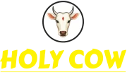 footer_logo